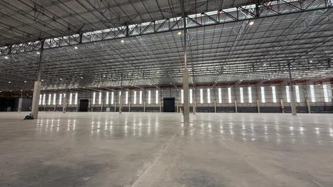 WhatsApp Image 2026-02-03 at 12.55.57.